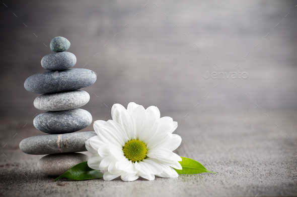 Wellness Background. Stock Photo By GitaKulinica | PhotoDune